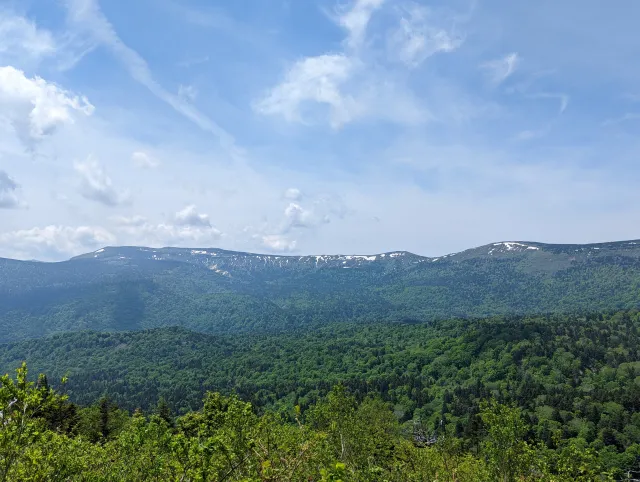 岩手県 大船渡市 山林火災募金活動報告