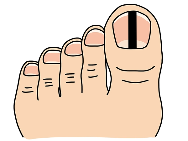 爪にまつわる小ネタ特集